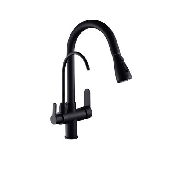 3-in-1 Faucet for Tap and Purified Water