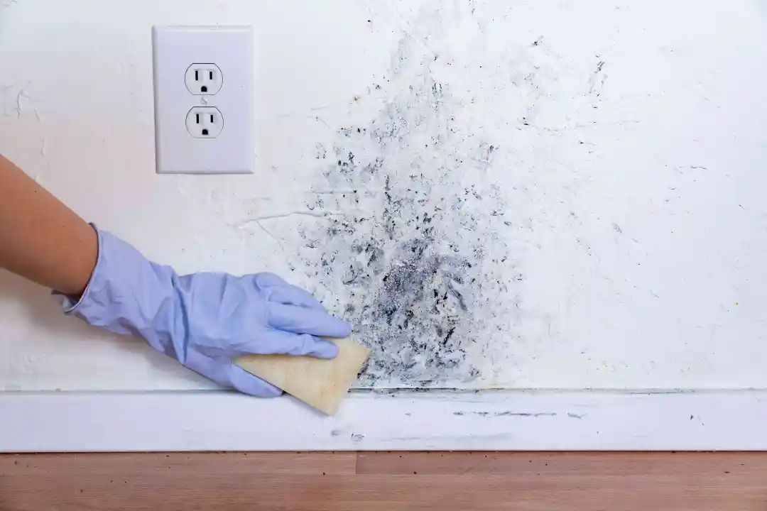 mould on the wall during rainy seasons