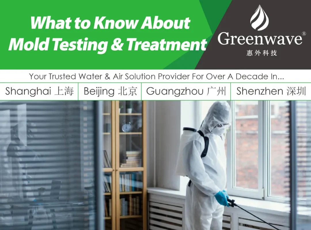 What to Know About Mold Testing & Treatment
