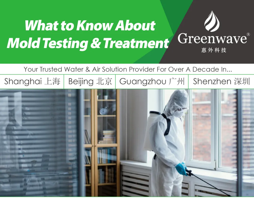 What to Know About Mold Testing & Treatment