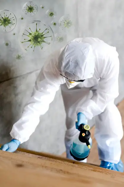 Technician in PPE performing surface treatment during mold remediation — Greenwave China.