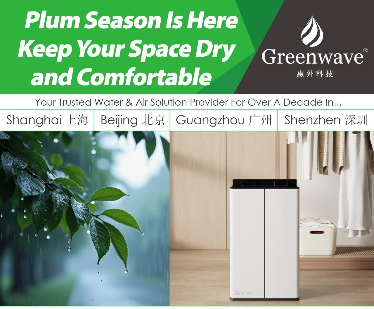 Plum Season Is Here｜Keep Your Space Dry and Comfortable