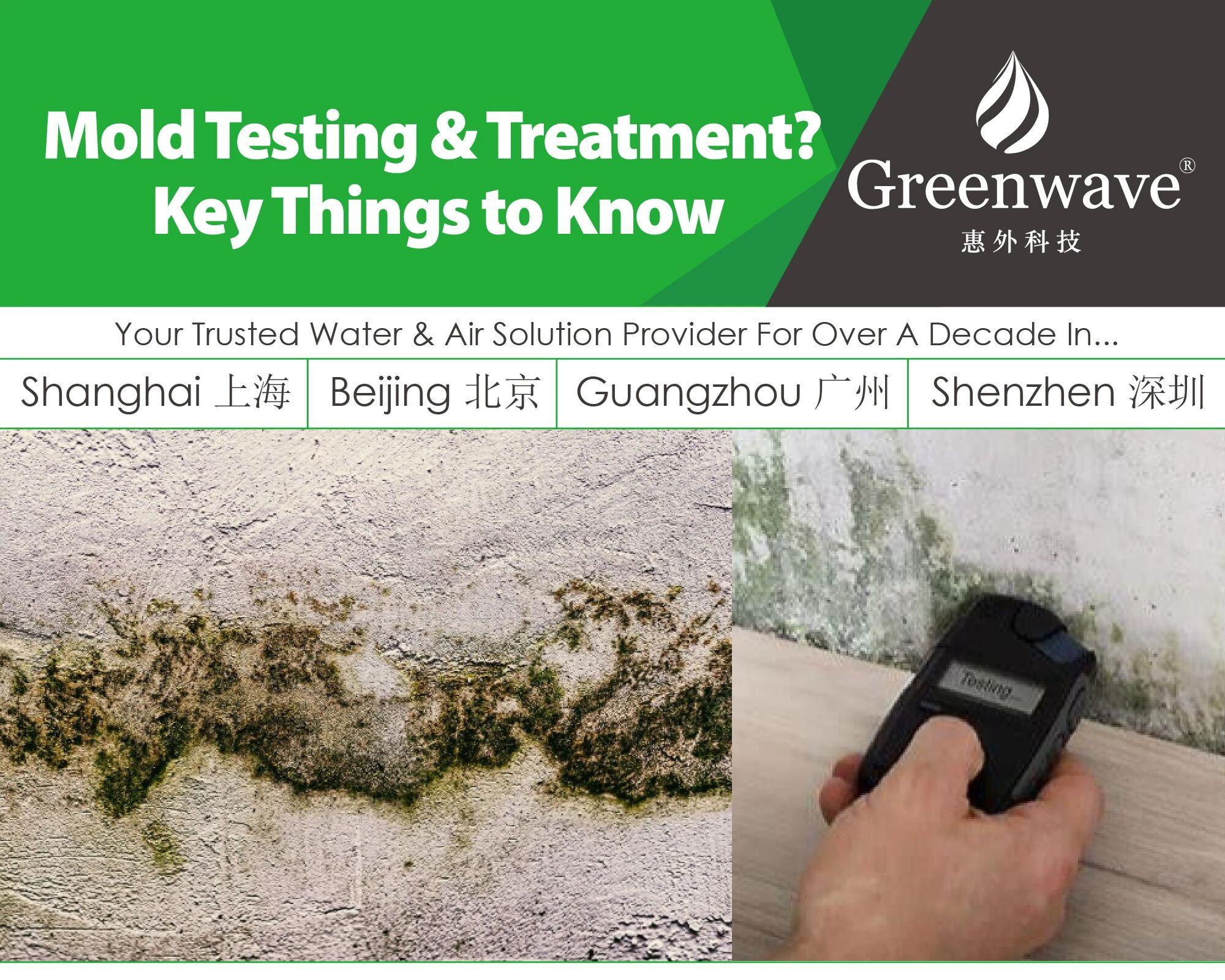 Testing Mold or Treating It? Key Things You Need to Know